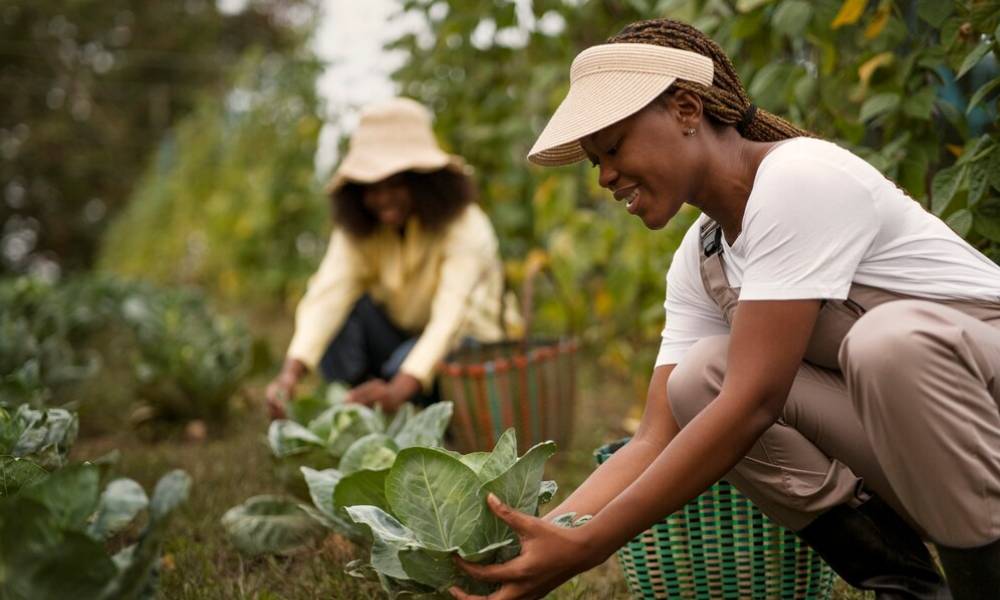 food-security-courses-img01